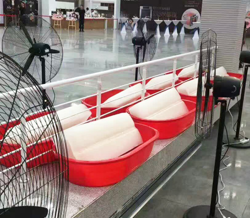 西安降温冰块 西安降温冰块