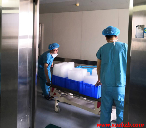 西安降温冰块 西安降温冰块